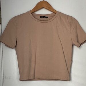 Zara Women's Beige Crop Short Sleeve Tee